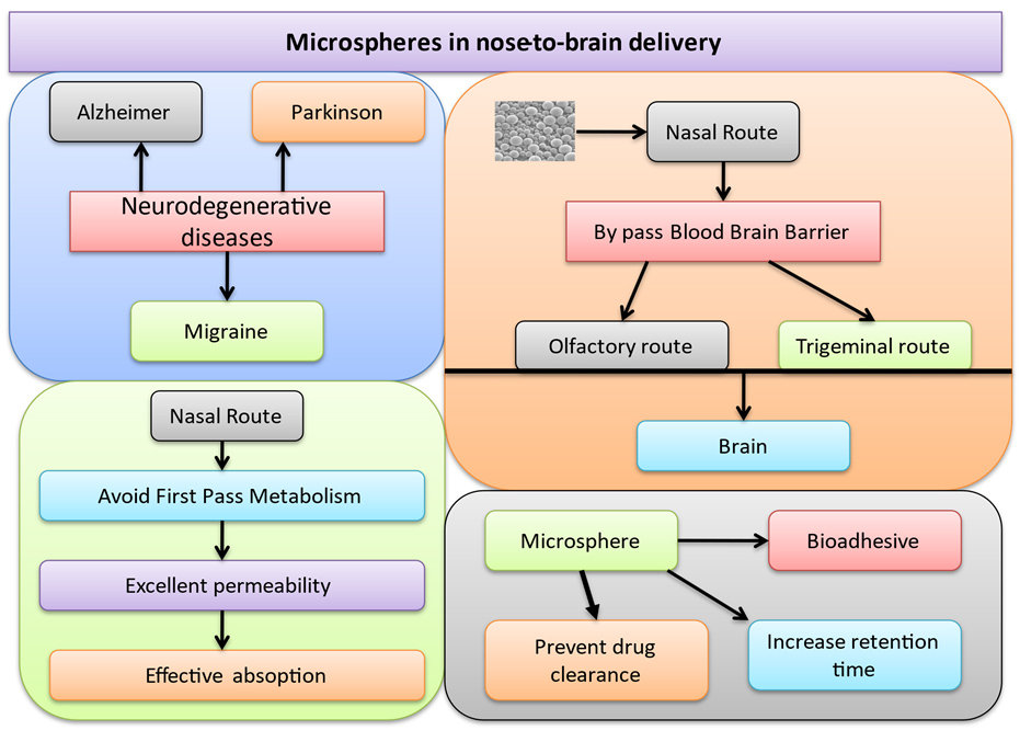 Graphical Abstract